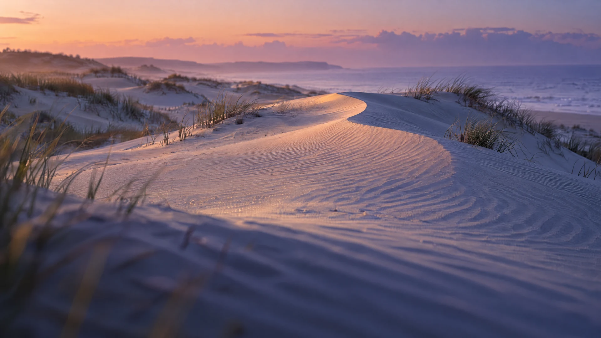 Softly undulating coastal dunes in periwinkle shadow, with warm peach light tracing a wind-rippled crest.